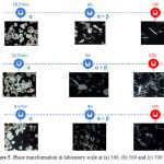 Figure 5. Phase transformation in laboratory scale at (a) 300, (b) 500 and (c) 700 rpm