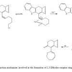 Figure 2. Reaction mechanism involved in the formation of 2,3-Dihydro-oxepine ring.