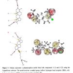 Figure 5. Scheme represents a pharmacophore model from both compounds 1 (I) and 3 (II) using the LigandScout software. The model involves a methyl group (yellow) hydrogen bond acceptors (HBA, red), hydrogen bond donor (HBD, green) and a positive ionizable (PI).