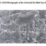 Figure 2: SEM Photographs of the Activated De-Oiled Soya Particles
