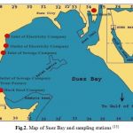Fig.2. Map of Suez Bay and sampling stations (15)