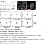 Fig. 4. a) Auger spectrum of Ni nanopowder, b) SEI image of Ni nanopowder passivated at 200C; c) SEI image of Ni nanopowder passivated at -80C ;