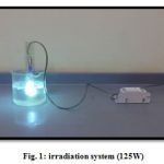 Fig. 1: irradiation system (125W)
