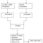 Scheme 1: Experimental Chart