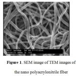 Figure 1. SEM image of TEM images of the nano polyacrylonitrile fiber