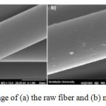 Figure 2. SEM image of (a) the raw fiber and (b) modified PAN fiber
