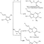 Scheme 2