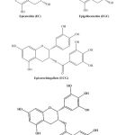 Figure 1.Chemical structure of the most abundant catechins in the leaves of the green tea.