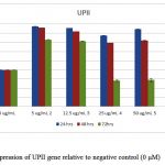 Figure 4.Expression of UPII gene relative to negative control (0 μM)