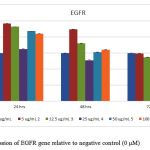 Figure 5.Expression of EGFR gene relative to negative control (0 μM)