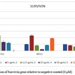 Figure 6. Expression of Survivin gene relative to negative control (0 μM)