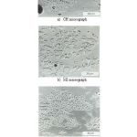 Figure 4: SEM micrographs of the appearance of clusters of leucite crystals exposed by light etching with 1% HF for 30 s (Shareef et al. 1994) for: